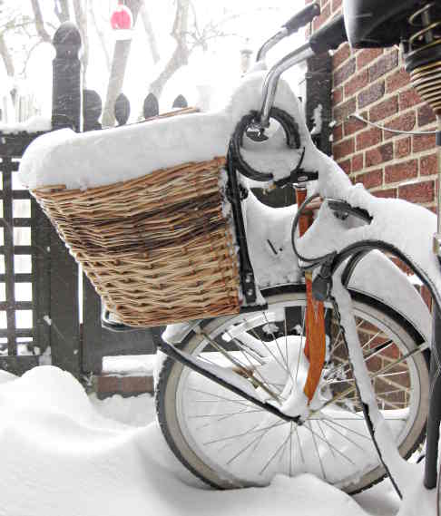 extra large bike basket