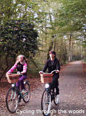 Cycling in the woods