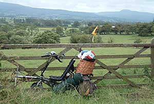 Image as described adjacent