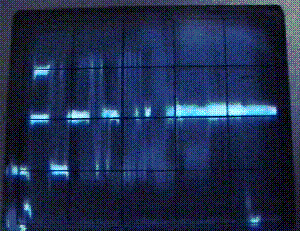 Free Radio Times promotional tape, punched for SVHS