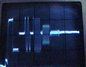 Free Radio Times promotional in VHS mode