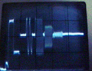 Memorex SHQ, VHS mode