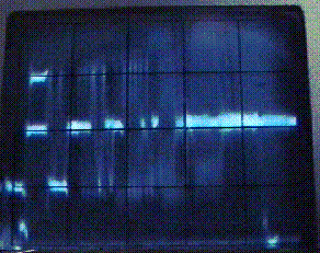 Scotch EXG+, punched for SVHS