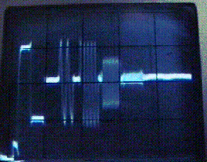  Scotch EXG+, VHS mode